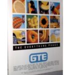 GTE The Everything Pages