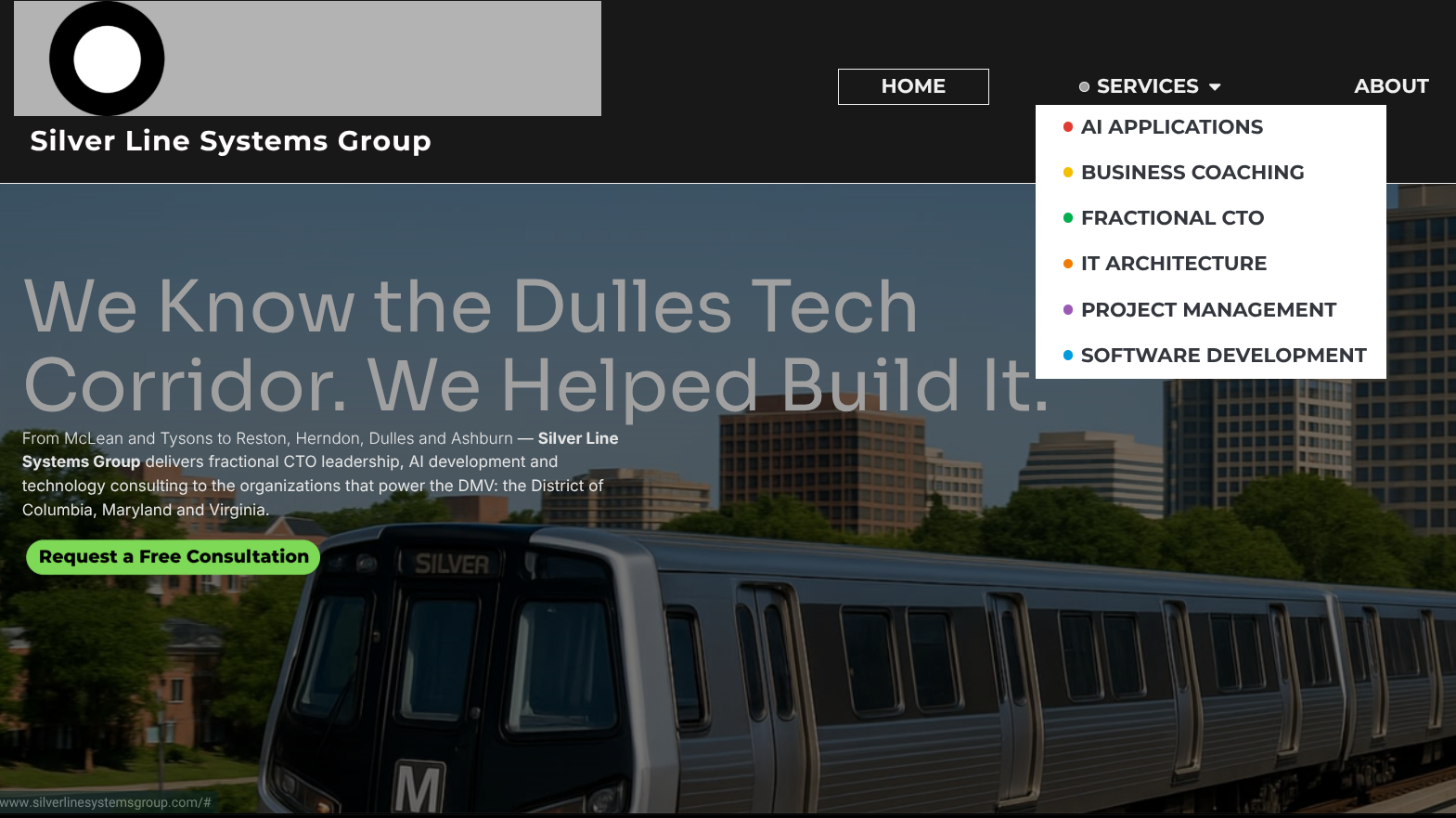 Silver Line Systems Group Professional Website Design -Qualify LLC